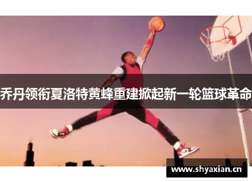 乔丹领衔夏洛特黄蜂重建掀起新一轮篮球革命