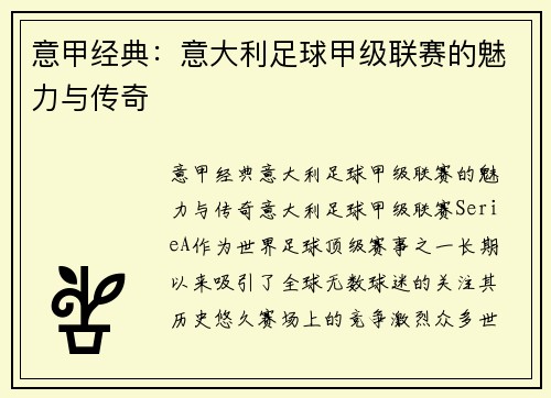 意甲经典：意大利足球甲级联赛的魅力与传奇